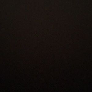 Meet your Posher, Shayn